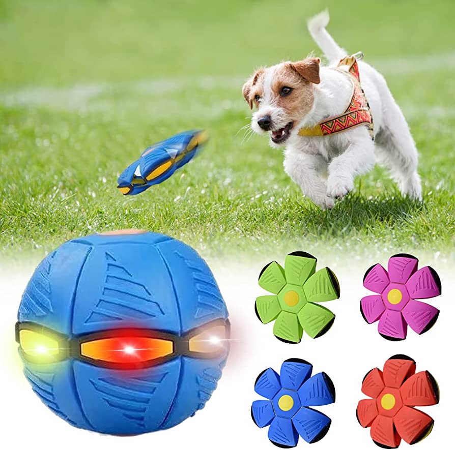 Dog Frisbee, product image 7