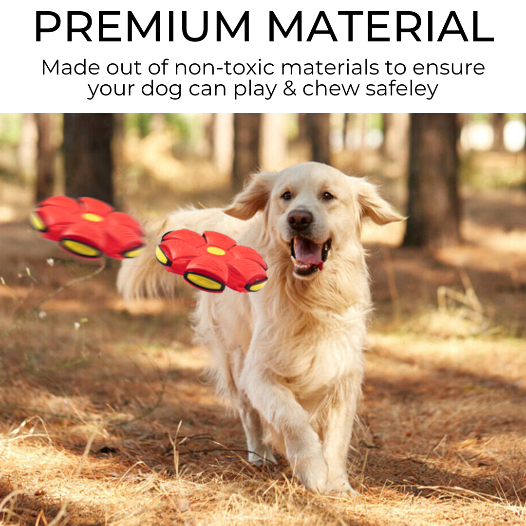 Dog Frisbee, product image 4